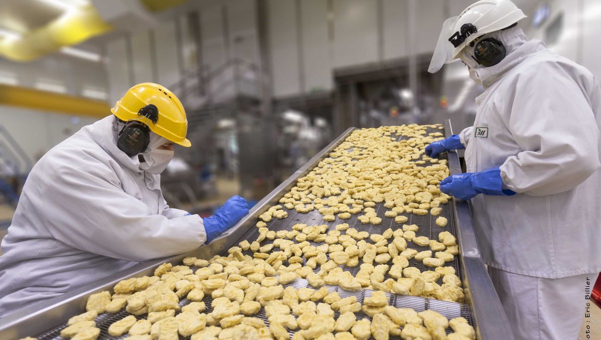 Ligne de production de nuggets chez Cargill à Saint-Cyr-en-Val