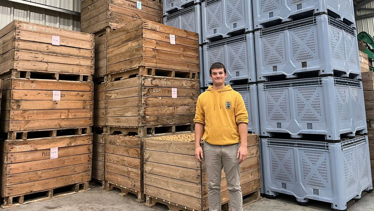 Matteo Trouillet gère la ferme des Combeaux à Saint-Sauveur (Isère), sa récolte a été divisé par cinq par rapport à l'année dernière.