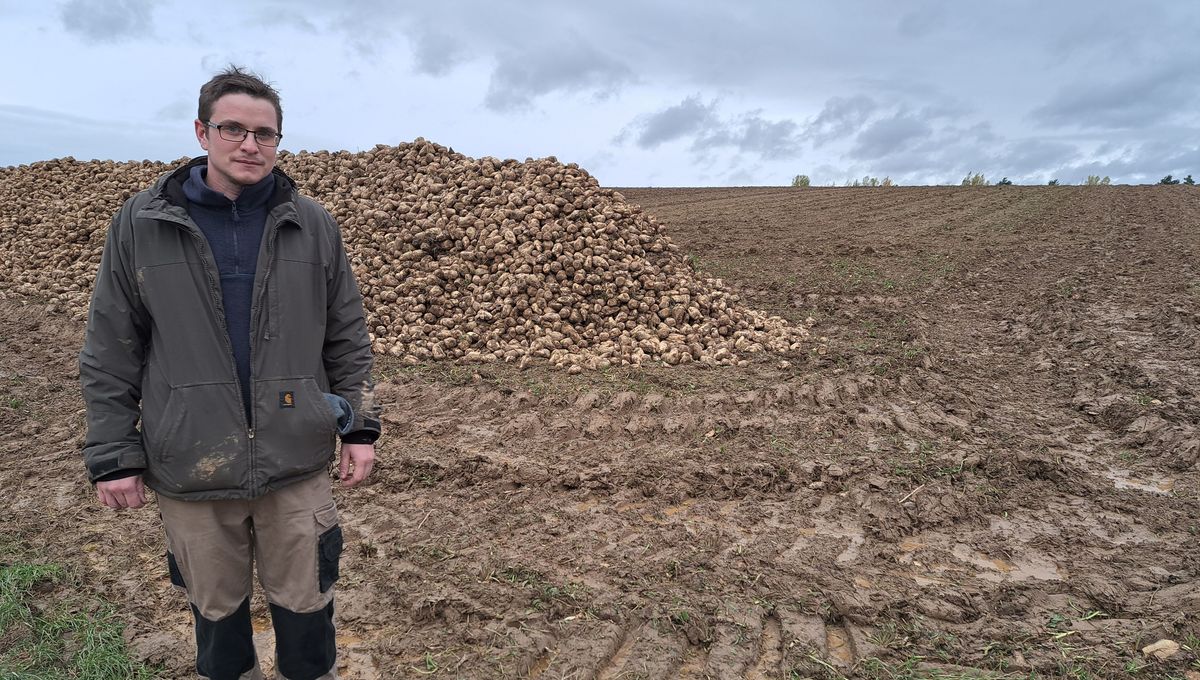 Yannis Baltzer devant une récolte de betteraves dans un champ boueux de Hochfelden