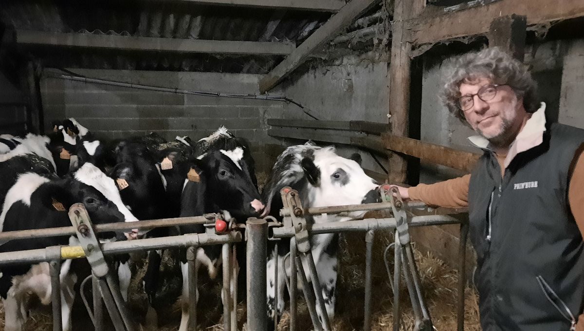 Antoine Thibault, alias AgriSkippy, avec ses génisses dans son exploitation de Breteuil (Eure)