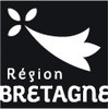 Agrégat de réseaux urbains et interurbains de Bretagne