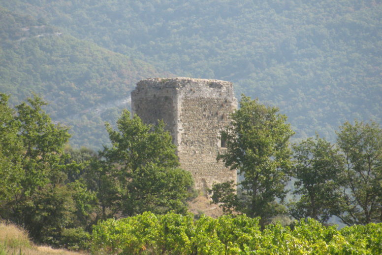 vignes grignan