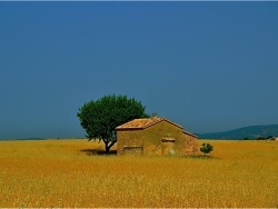 Photo de Valensole