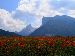 Photo de Lus-la-Croix-Haute