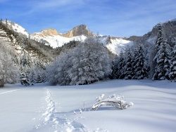 Photo de Lus-la-Croix-Haute