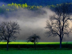 Photo de Lus-la-Croix-Haute