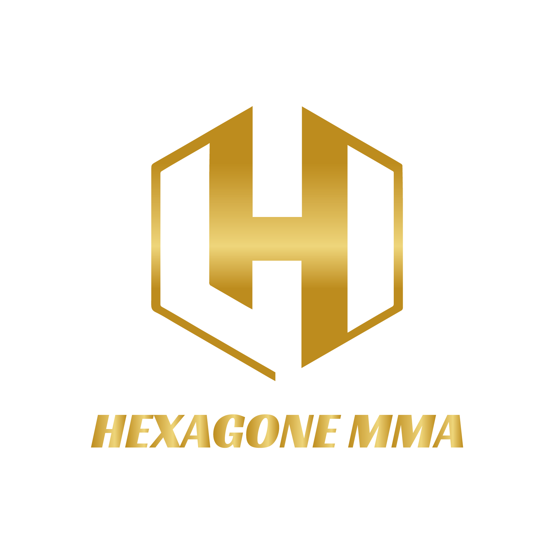 Logo Hexagone