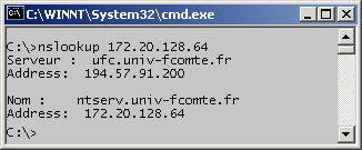 Nslookup02.gif (7288 octets)