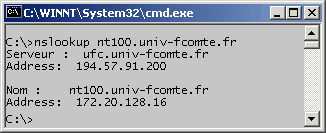 Nslookup01.gif (7337 octets)