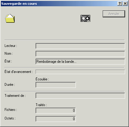 BandesSauvegardeEnCours01.gif (8371 octets)