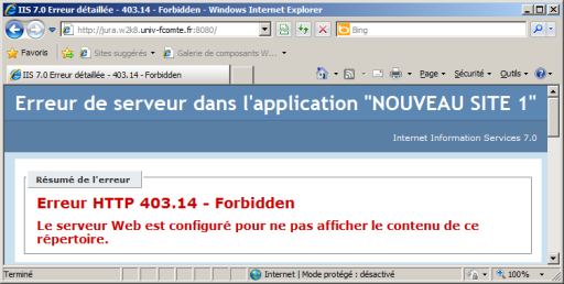 IENouveauSiteWeb1VideErreur.png (39450 octets)