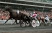 Ready Cash lors de sa victoire dans le Prix d'Amérique 2012