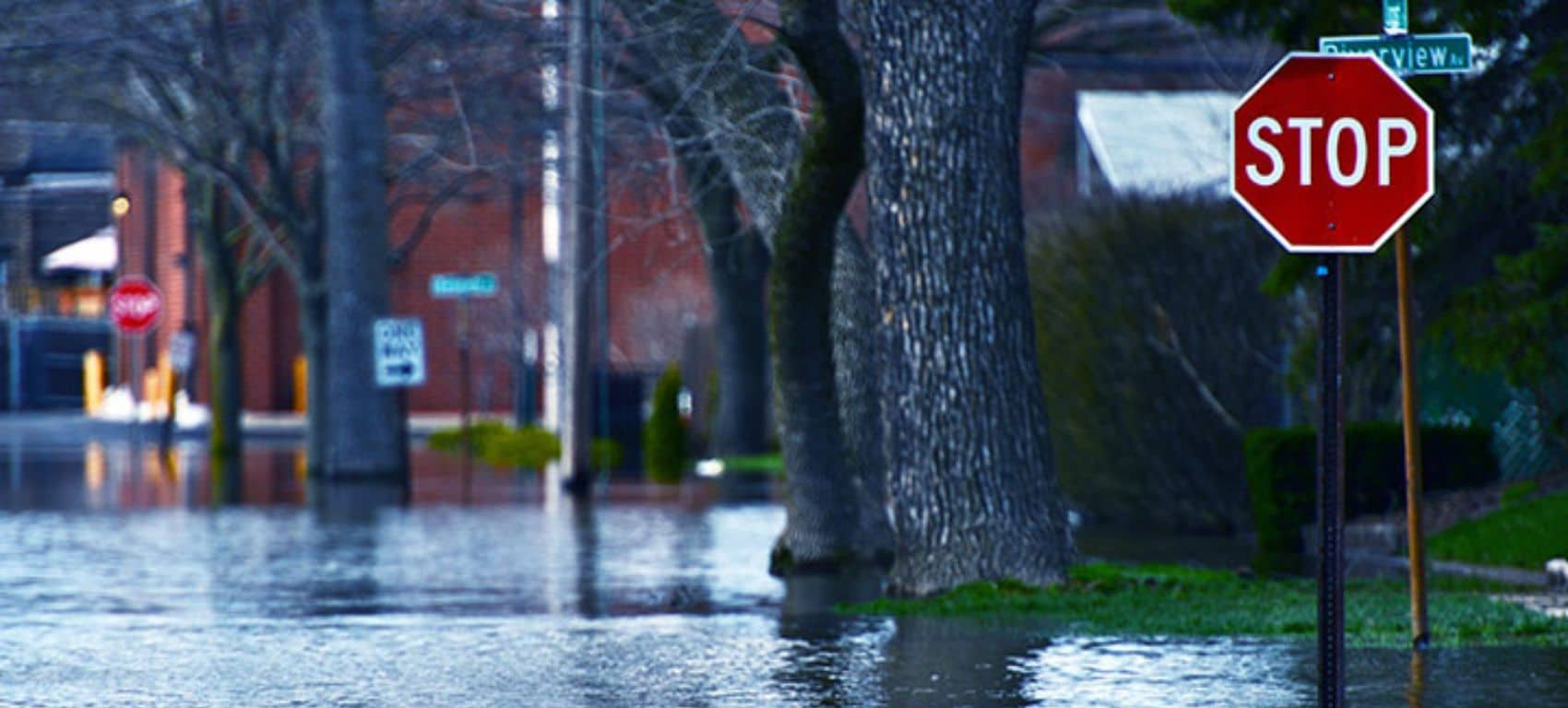 Stay Safe After a Flood