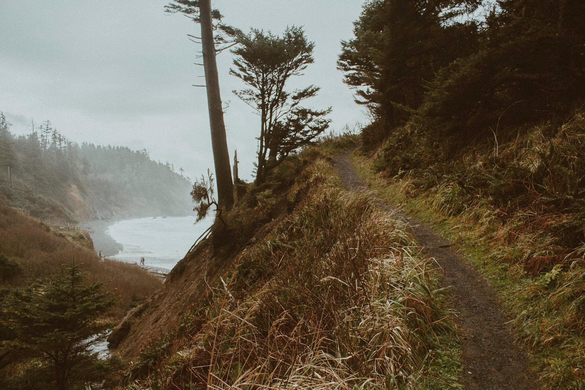 Foggy narrow pathway leading to pacific coastline. 