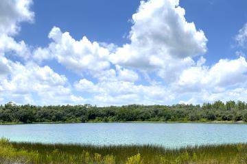 Sheelar Lake - Gold Head