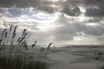 Little Talbot Island State Park - Sunrise at the beach