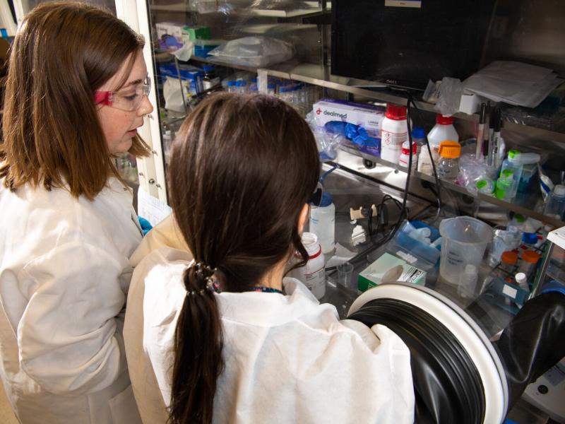 Two scientists at a glovebox, working