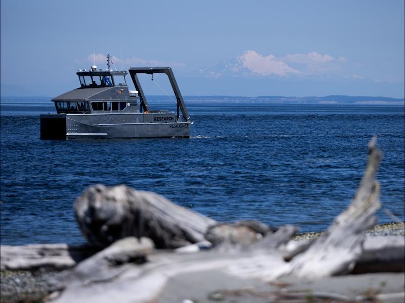 Photograph shows a silver boat floating in the ocean. In the background there's a blue sky, clouds, and a snow-topped mountain. In the foreground there's a beach covered in logs. 