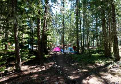 Camping on Ross LakeGrab your tent, your sleeping bag, and adventurous soul and camp along Ross Lake.