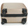 Τσάντες Valise Rigide David Jones CHAUVETTINI 40L Gold