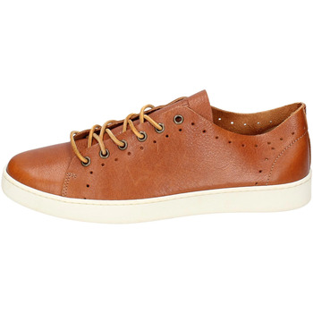 Παπούτσια Άνδρας Sneakers Stokton EX86 Brown