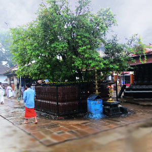 Chottanikkara Temple