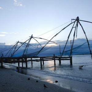 Fort Kochi