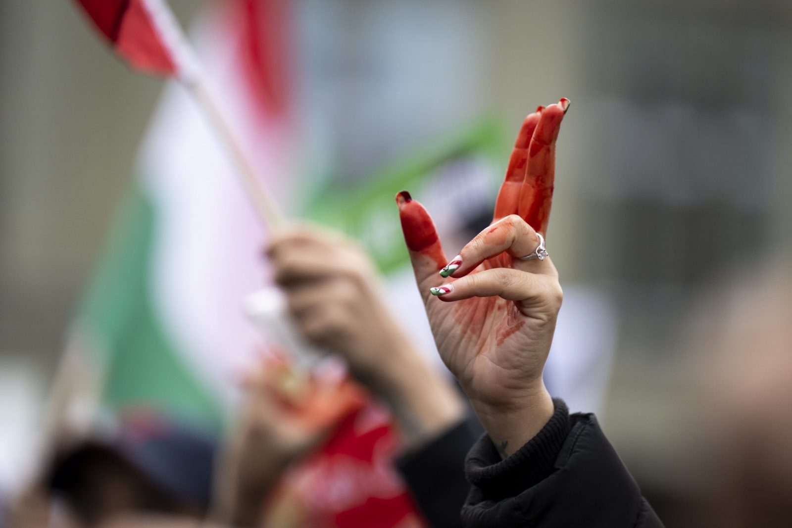 epa10288114 A woman's hand with red paint pictured during a freedom rally for Iranian Women, on the Federal Square (Bundesplatz) in Bern, Switzerland, 05 November 2022. After the death of Mahsa Amini the Iranian people, especially women and youth, are taking to the streets to protest against the cruel treatment of the population. Demonstrators in hundreds of cities are facing repression from the government authorities. For several weeks, the protesters have been demanding that the government respect the most basic human rights.  EPA/ANTHONY ANEX