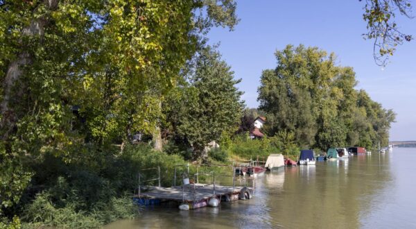 18.09.2024., Batina - Zeleni otok i Batina pripremaju se za dolazak vodenog vala na Dunavu koji stize krajem tjedna. Procjene su da bi vodostaj mogao dosegnuti do 750 centimetara. Mjestani pune vrece s pijeskom kako bi napravili zecje nasipe te postavljaju grede na prolazima za camce, a u naselju Zeleni otok namjestaj i ostalu vrijednu imovinu prebacuju na kat.  Photo: Borna Jaksic/PIXSELL