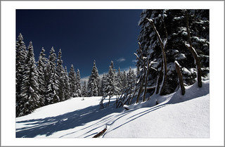 Tiszts a Schneeberg alatt