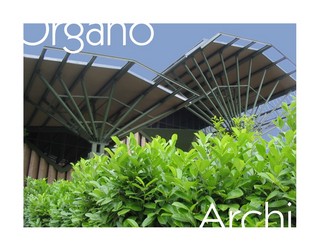 organo archi