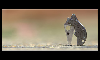 Spyderco Spin