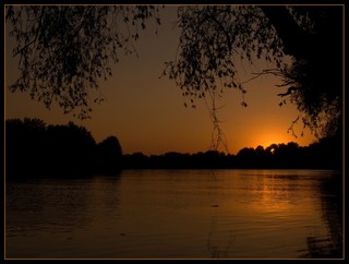 Tisza