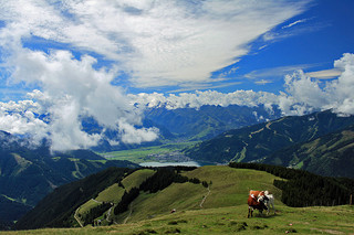 Zell am See