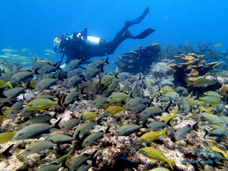 Key Largo, Florida