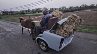 Trabanton szllni lvezet