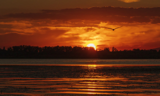 Tisza-tavi alkonyat