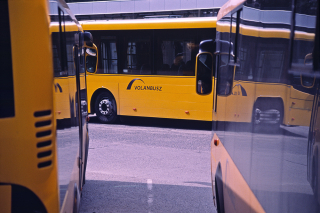 Volnbusz