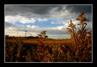 Pusztai Parlag