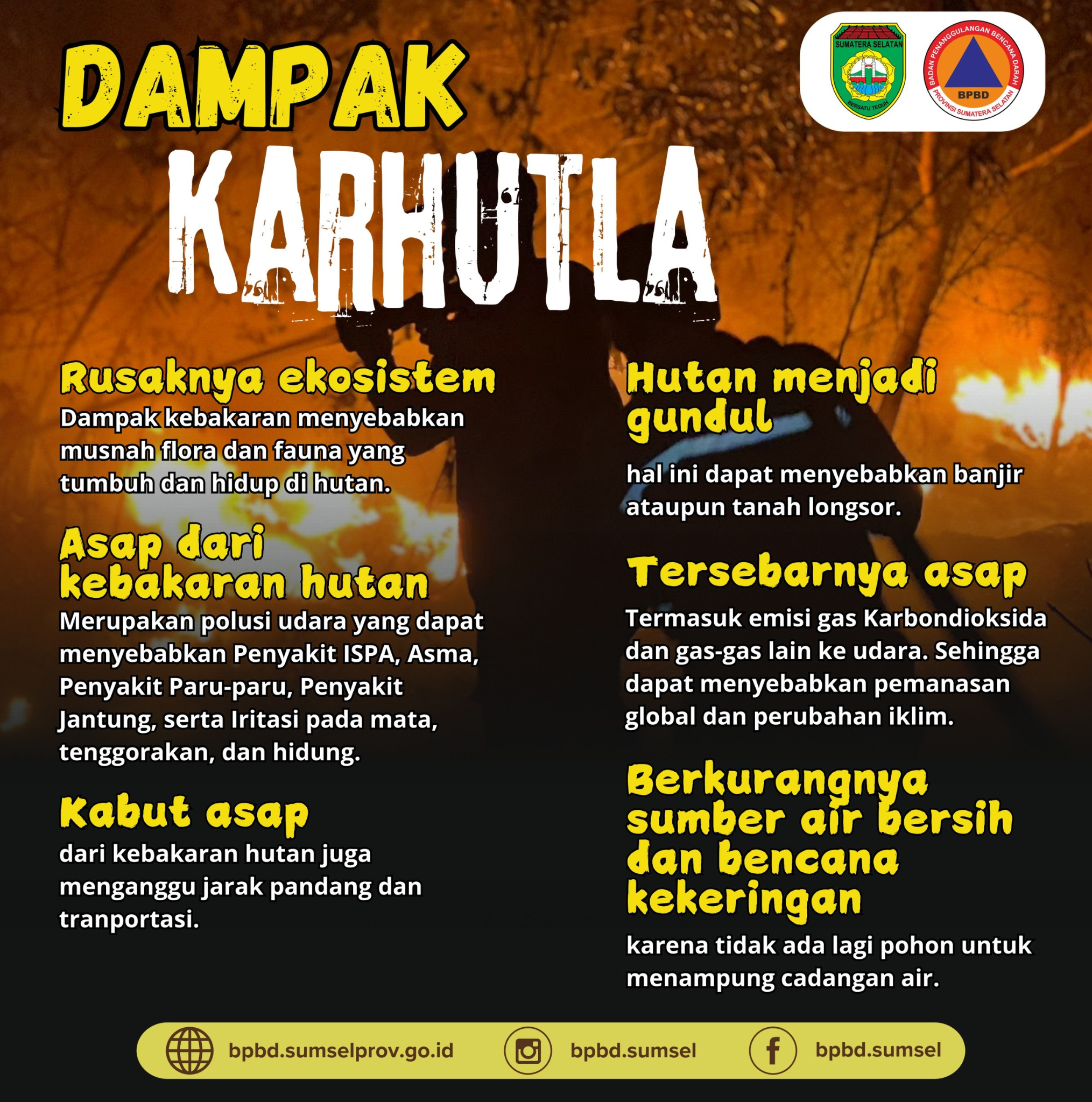 Dampak Kebakaran Hutan dan Lahan