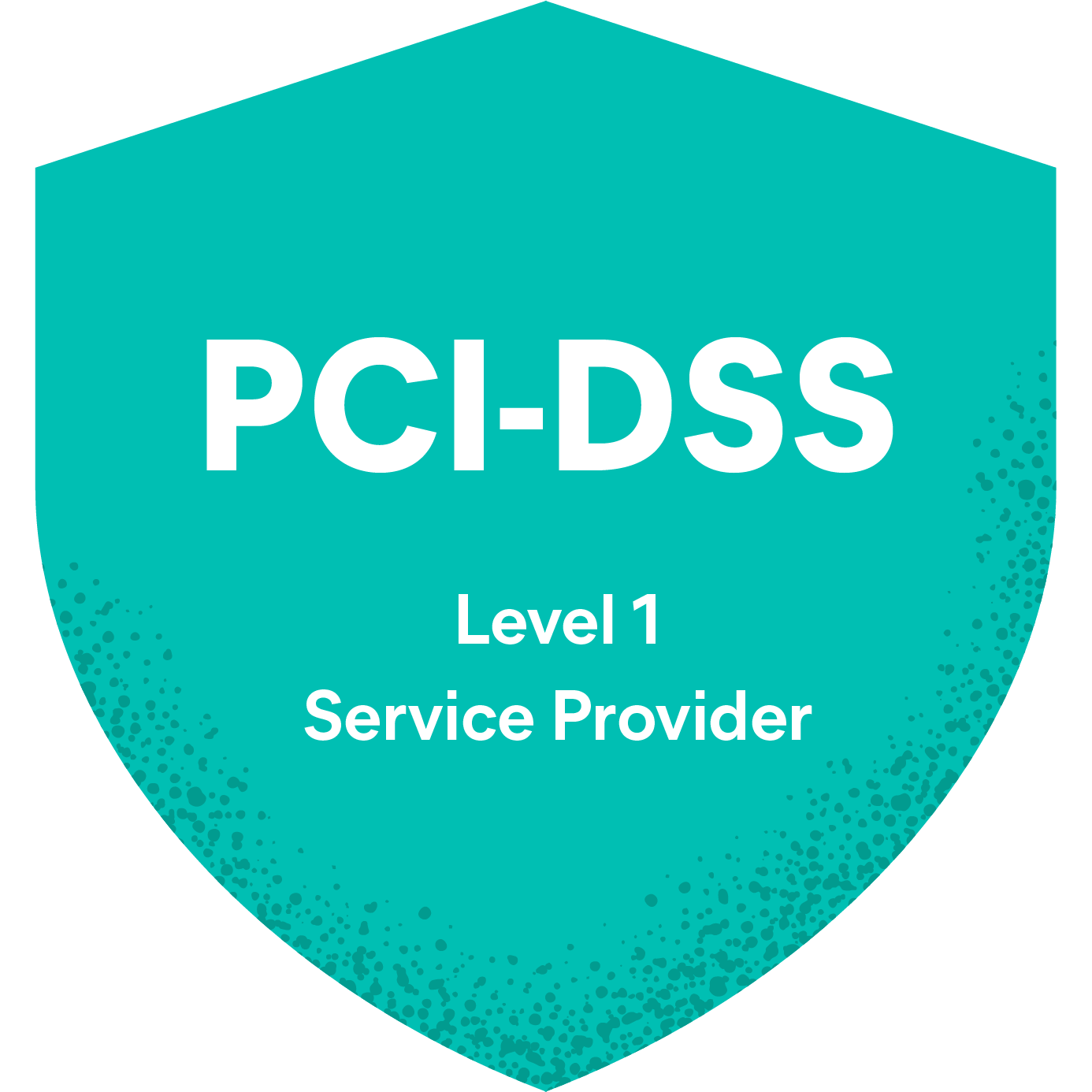 PCI DSS