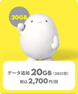 データ追加20GB