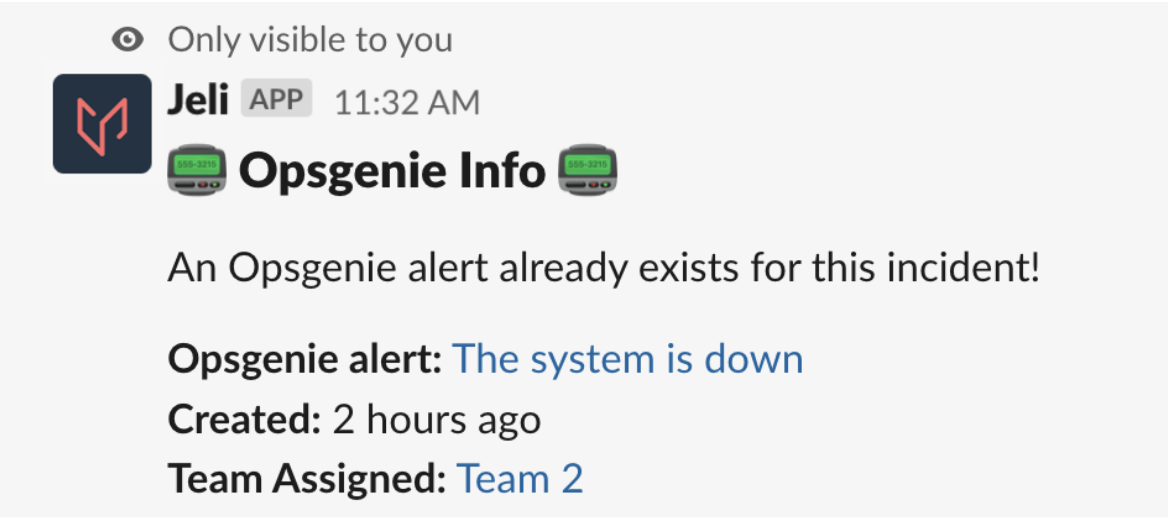 A screenshot of Opsgenie alert details in Slack