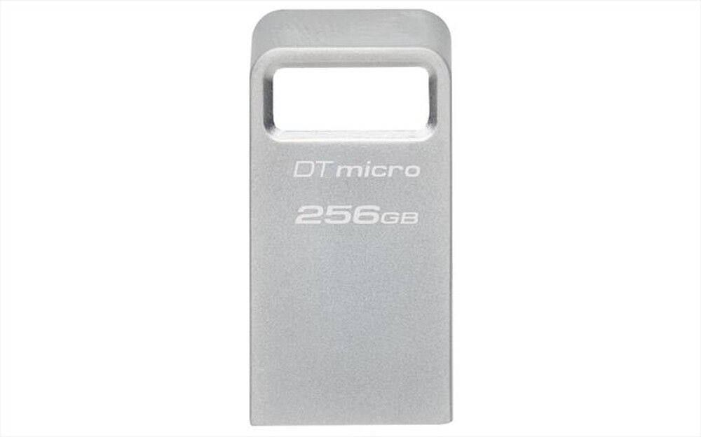 "KINGSTON - Memoria 256 GB DTMC3G2/256GB-SILVER"