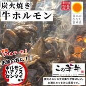 【5袋】【宮崎名物　炭火焼】この華牛　炭火ホルモン焼き！