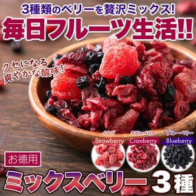 【お徳用】ミックスベリー3種500g | クセになる爽やかな酸味のベリーのドライフルーツをたっぷりお届け！美味しさがギュッと凝縮！