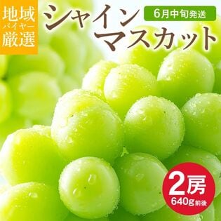 【2房(640g前後)】≪秀品≫地域厳選 シャインマスカット