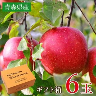 【予約受付】9/10~順次出荷【約2kg/6玉】りんごギフト