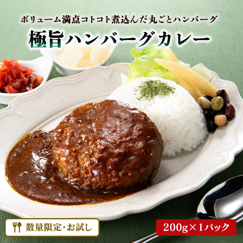 【先着30名：新作お試しキャンペーン】極旨ハンバーグカレー 100g×1パック【送料無料】【常温長期保存】