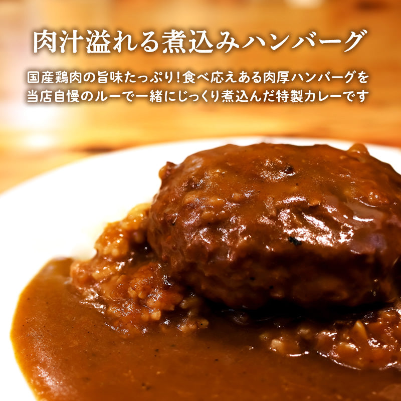 【先着30名：新作お試しキャンペーン】極旨ハンバーグカレー 100g×1パック【送料無料】【常温長期保存】